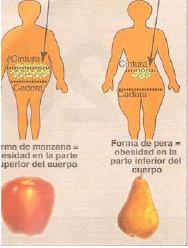 Efecto de un programa de actividad física-recreativa extraescolar…