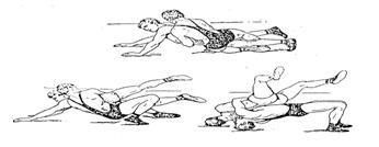 fig6