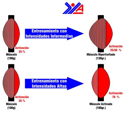 entre_con_intensi