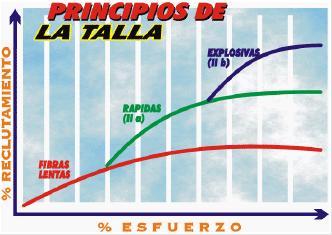 principios_de_la_talla