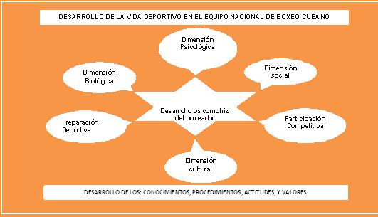 desarrollo_de_la_vida