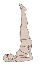 Postura_de_la_ereccin_invertida