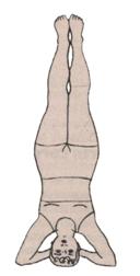 postura_boca_abajo_1