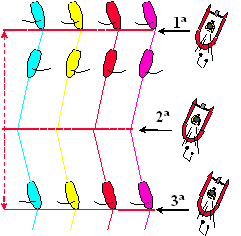 Ejercicios para la corrección en la navegación a popa de los veleristas de la clase Optimist.