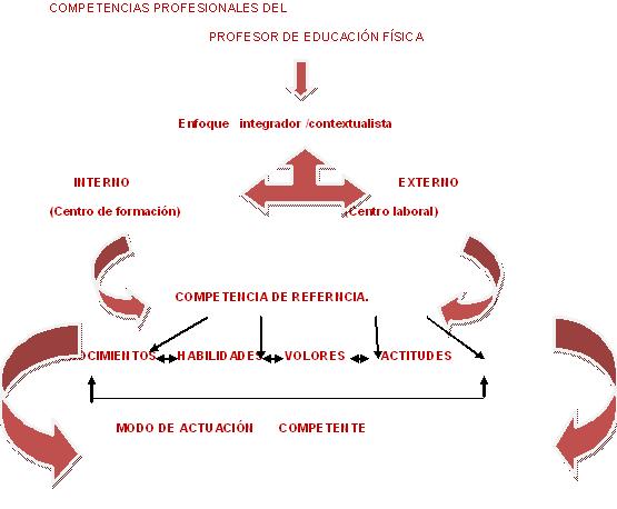 Las competencias profesionales de los  profesores de Educación Física  en formación desde un…